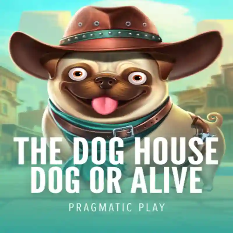 Dog House Dog & Alive Slot Game